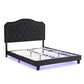 Queen Upholstered Bed Button Tufted with Curve Design
