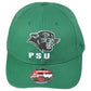 NCAA Zephyr Plymouth State Panthers PSU Green Curved Bill Adjustable Hat Cap