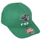 NCAA Zephyr Plymouth State Panthers PSU Green Curved Bill Adjustable Hat Cap