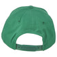NCAA Zephyr Plymouth State Panthers PSU Green Curved Bill Adjustable Hat Cap