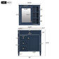 Bathroom Vanity With Medicine Cabinet and Storage