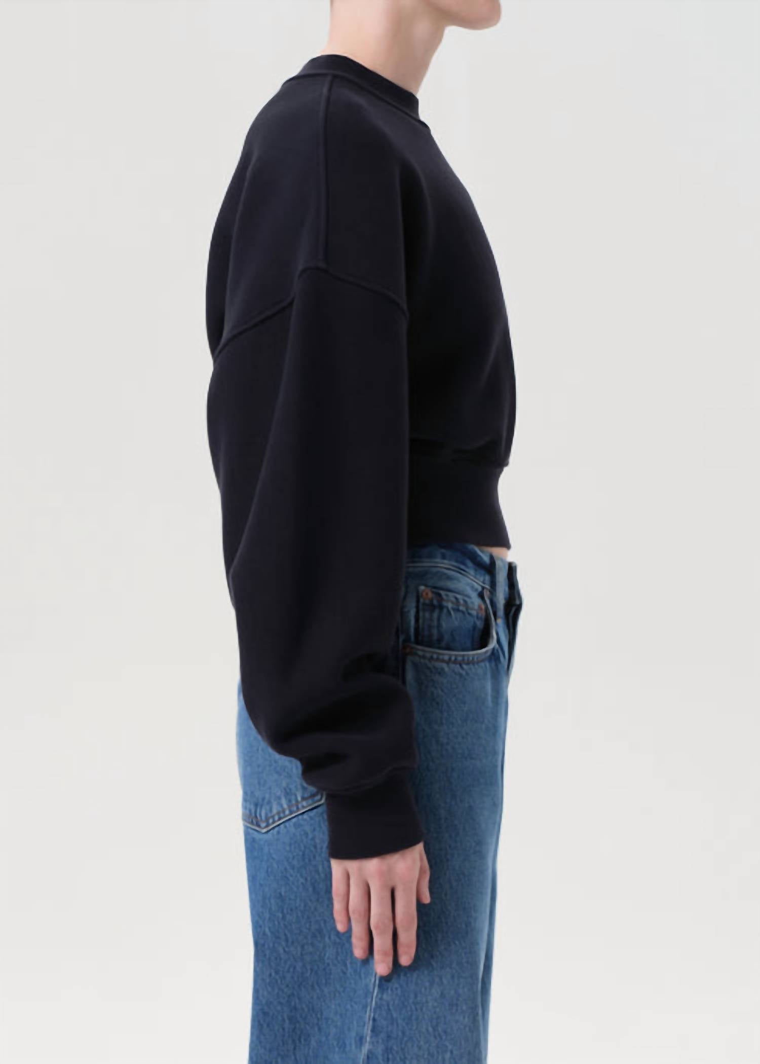 agolde-kit-cropped-sweater-1