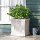 Durable White Ceramic Planter