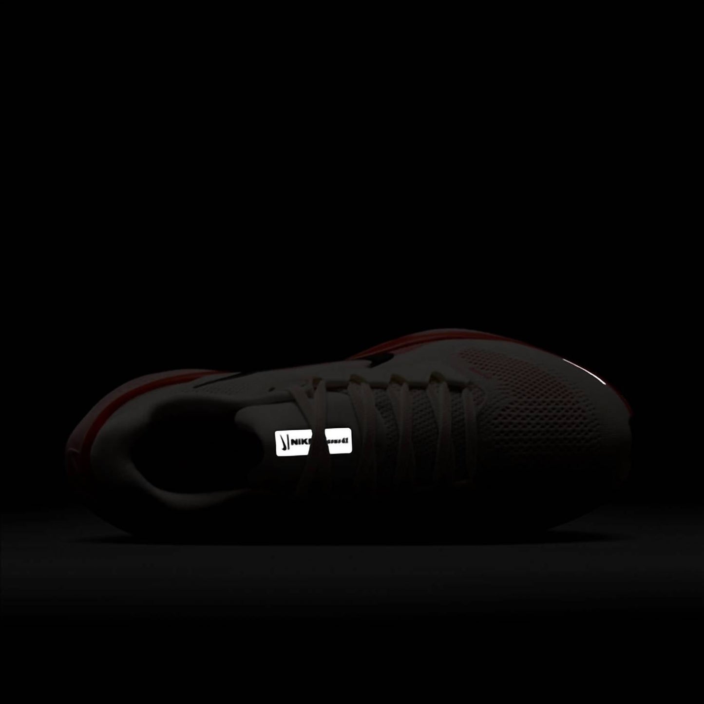 Nike - Women's Pegasus 41 Road Running Shoes