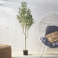 Artificial Olive Tree