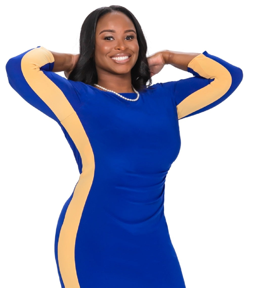 Kasper Women's Side Stripe Dress Blue Size 12