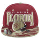 Florida Seminoles Theme Football State Flat Bill Adjustable Helmet Men Hat Cap