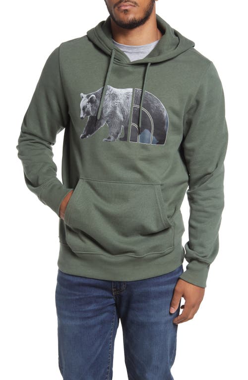 the-north-face-bear-graphic-hoodie-thyme-black