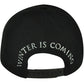 Game of Thrones Stark Dire Wolf Winter is Coming Snapback HBO TV Show Hat Cap