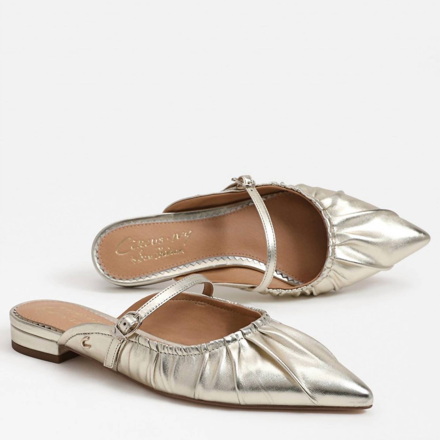 Circus By Sam Edelman - Women Larissah Ruched Mule