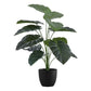24" Tall Artificial Alocasia Plant