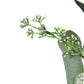 21965074