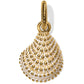 Brighton - Women's Sassy Shell Charm