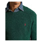 Ralph Lauren Men's Donegal Wool Blend Crewneck Sweater Green Size Small