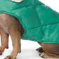 32 Degrees Women's Fleece Collar Quilted Dog Coat Green Size Large