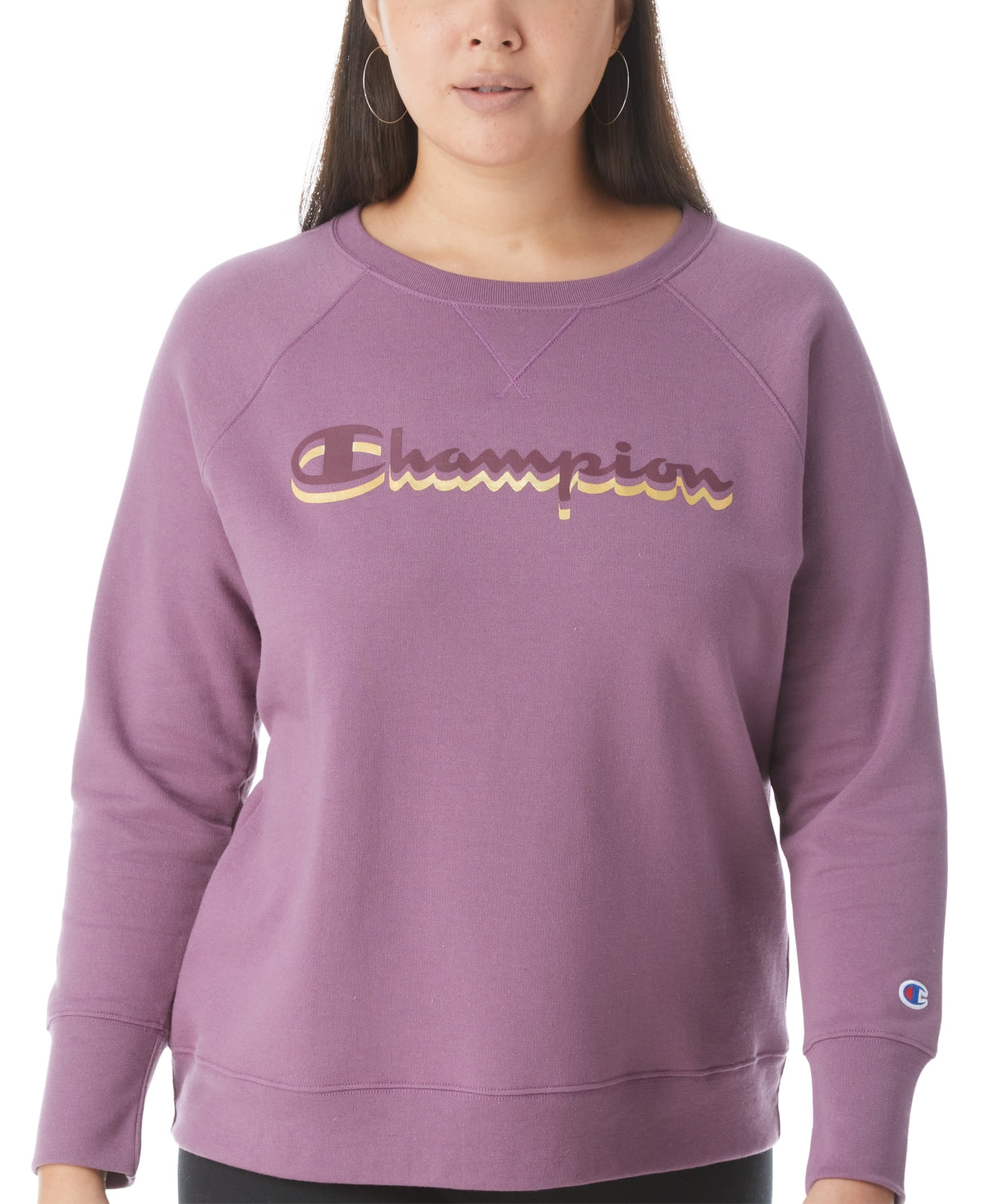 Champion Women's Powerblend Logo Boyfriend Sweatshirt Purple Size 3X