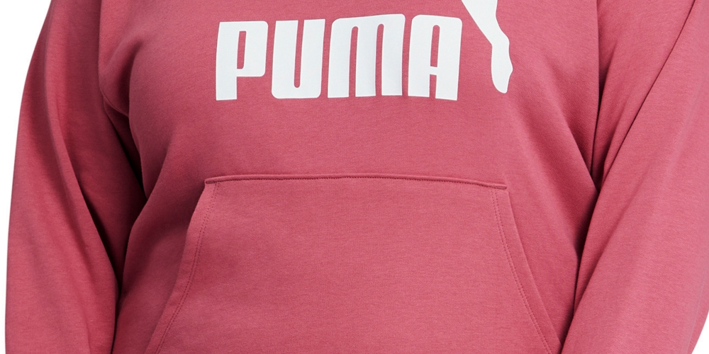 Puma Women's Classics Logo Hoodie Pink Size 2X
