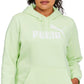 Puma Women's Logo Hoodie Green Size 2X