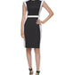 Calvin Klein Women's Colorblocked Shift Dress Size Black 6Petite