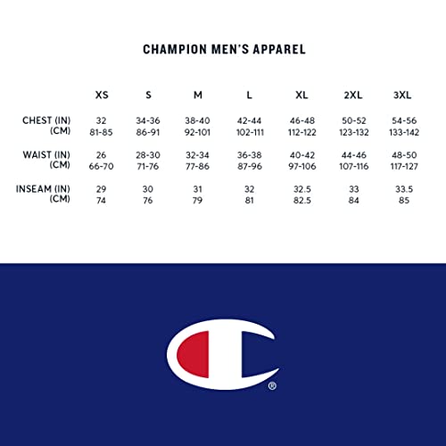 Champion Men's Powerblend Logo Graphic Hoodie Blue Size Large