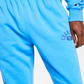 Champion Men's Vintage Wash Varsity Jogger Pants Blue Size Small