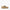 Steve Madden - Women's Aziel Sneaker