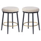 Stylish Design Counter Stools (Set of 2)