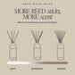 Mango and Coconut Tinted Glass Jar Reed Diffuser