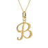 mayamar-24k-gold-plated-choice-of-script-initial-enhancer-pendant-w-chain