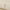 peace-jewelers-14k-gold-0-50ctw-lab-grown-diamond-halo-bangle-bracelet
