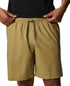 columbia-mens-summertime-stretch-shorts