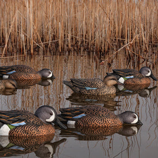 Avian X Magnum Canvasback Decoys Open Water Realistic Design