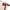 22209399