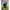 judy-blue-curvy-high-waist-skinny-capri-jeans