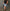 judy-blue-frankie-denim-shorts-plus