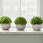 5" Tall, Artificial Plant, Grass, Indoor, Faux, Fake, Table, Greenery, Potted, Decorative (Set of 3) - Green / Gray