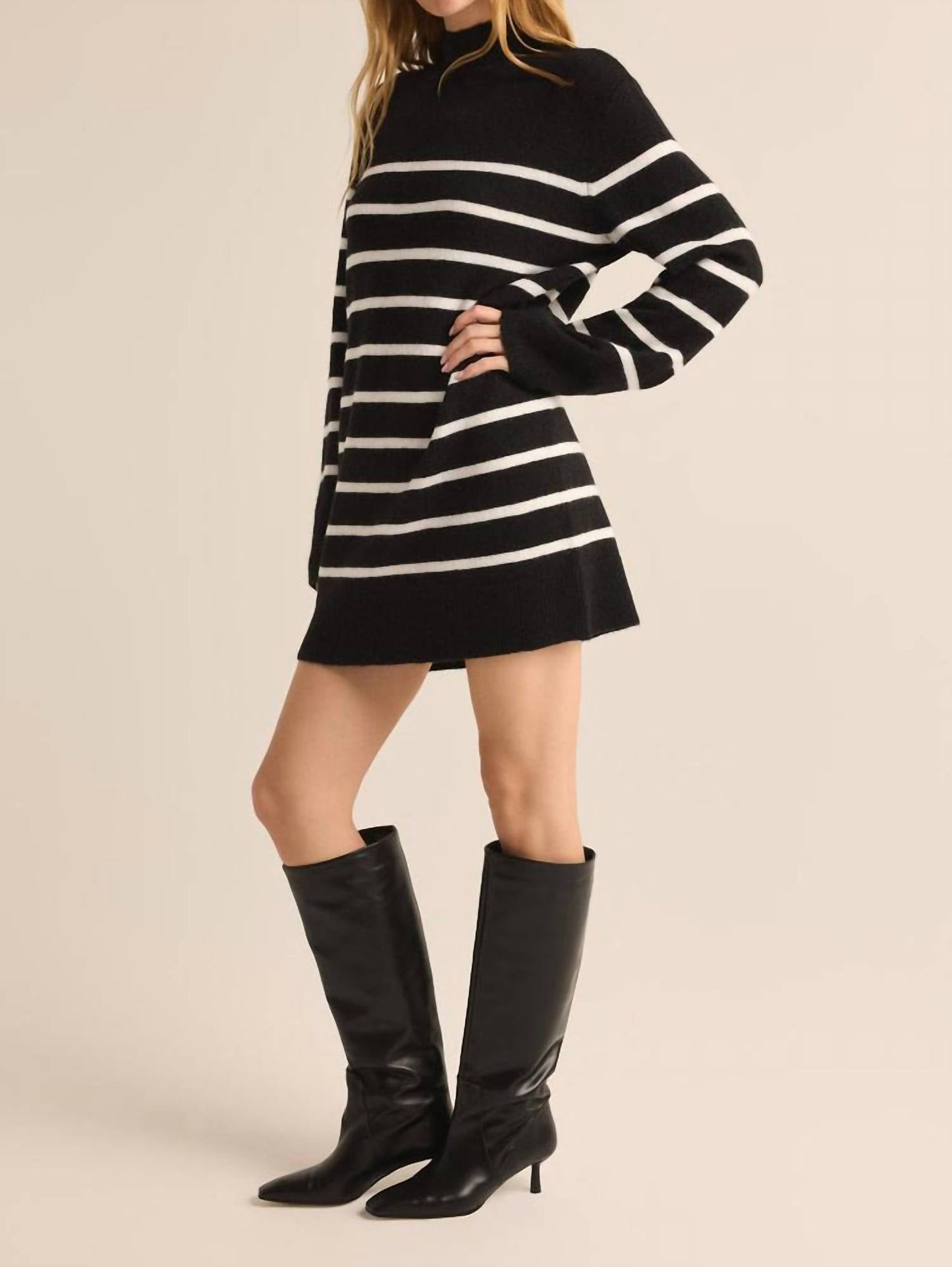 Z Supply - Fin Stripe Turtleneck Sweater Mini Dress