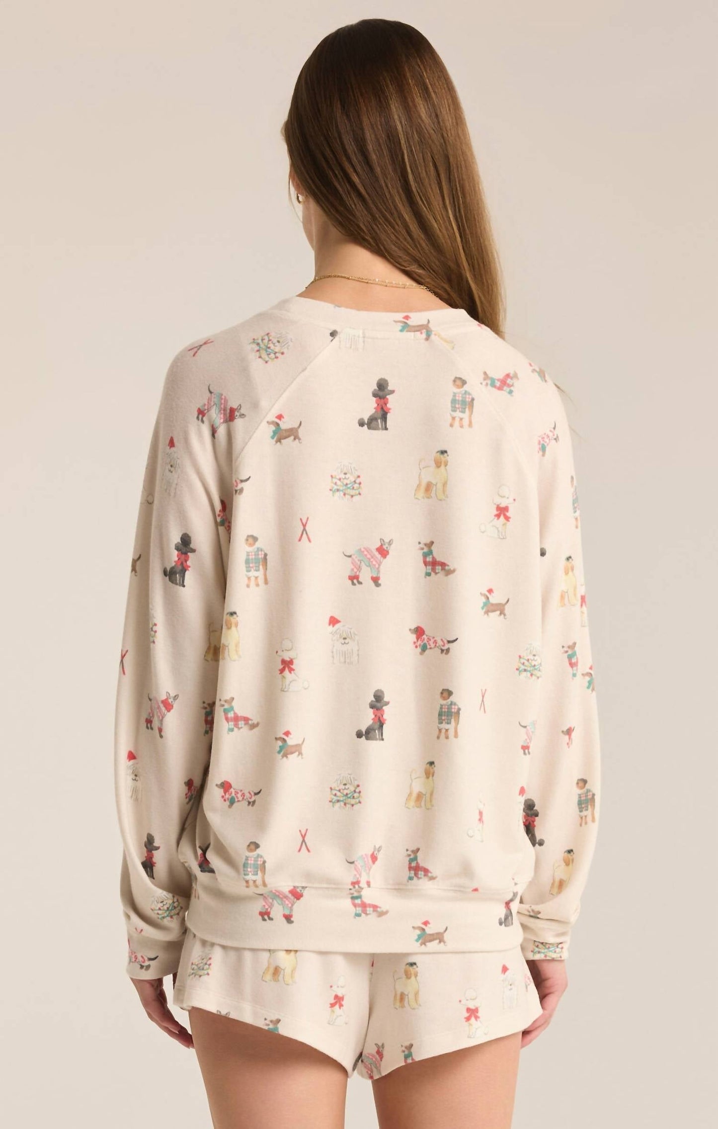 Z Supply - Best Friend Raglan Long Sleeve Top