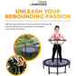 LEAPS & REBOUNDS 40" Stabilizer Handlebar for Fitness Trampolines, Bar Only