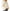 steve-madden-evanie-coat