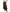 free-people-autumn-promenade-jacquard-floral-maxi-skirt