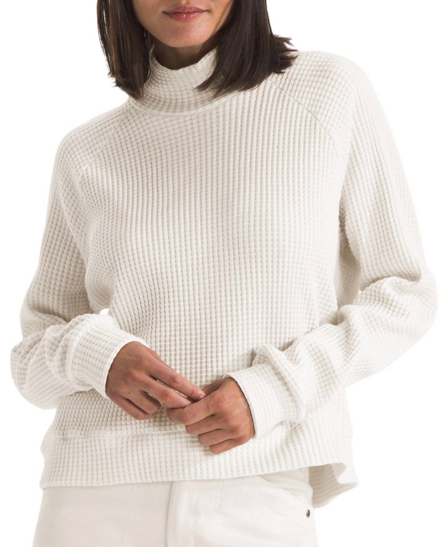 The North Face - Mock Neck Chabot Pullover
