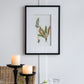 Verdant Grace™ — Elegant Fern Print Set