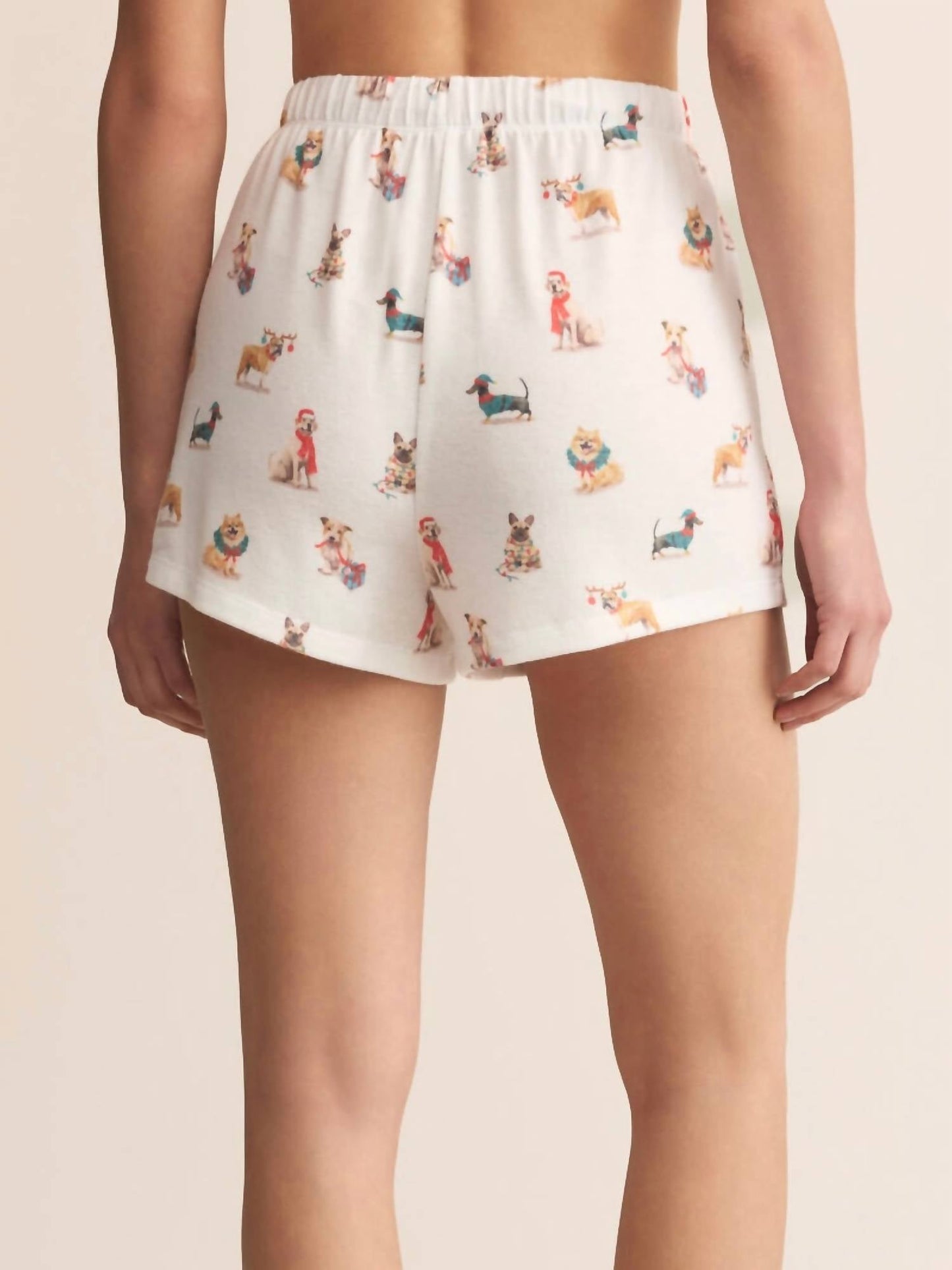 Z Supply - Classic Pup Shorts
