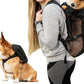 K9 Sport Sack - Walk-on | Lightweight & Packable Dog Carrier With Harness & Storage