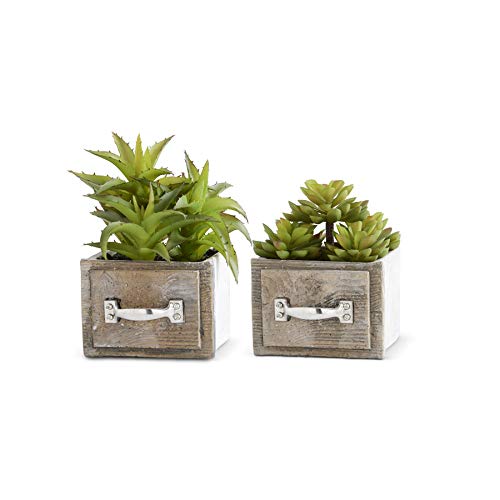 KK Interiors Succulent Green