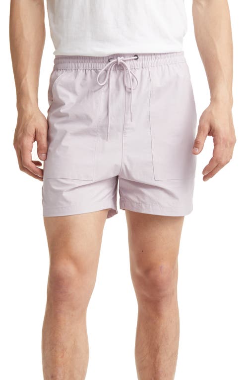 PacSun Men's Iris Chad Tannin Shorts Size Large