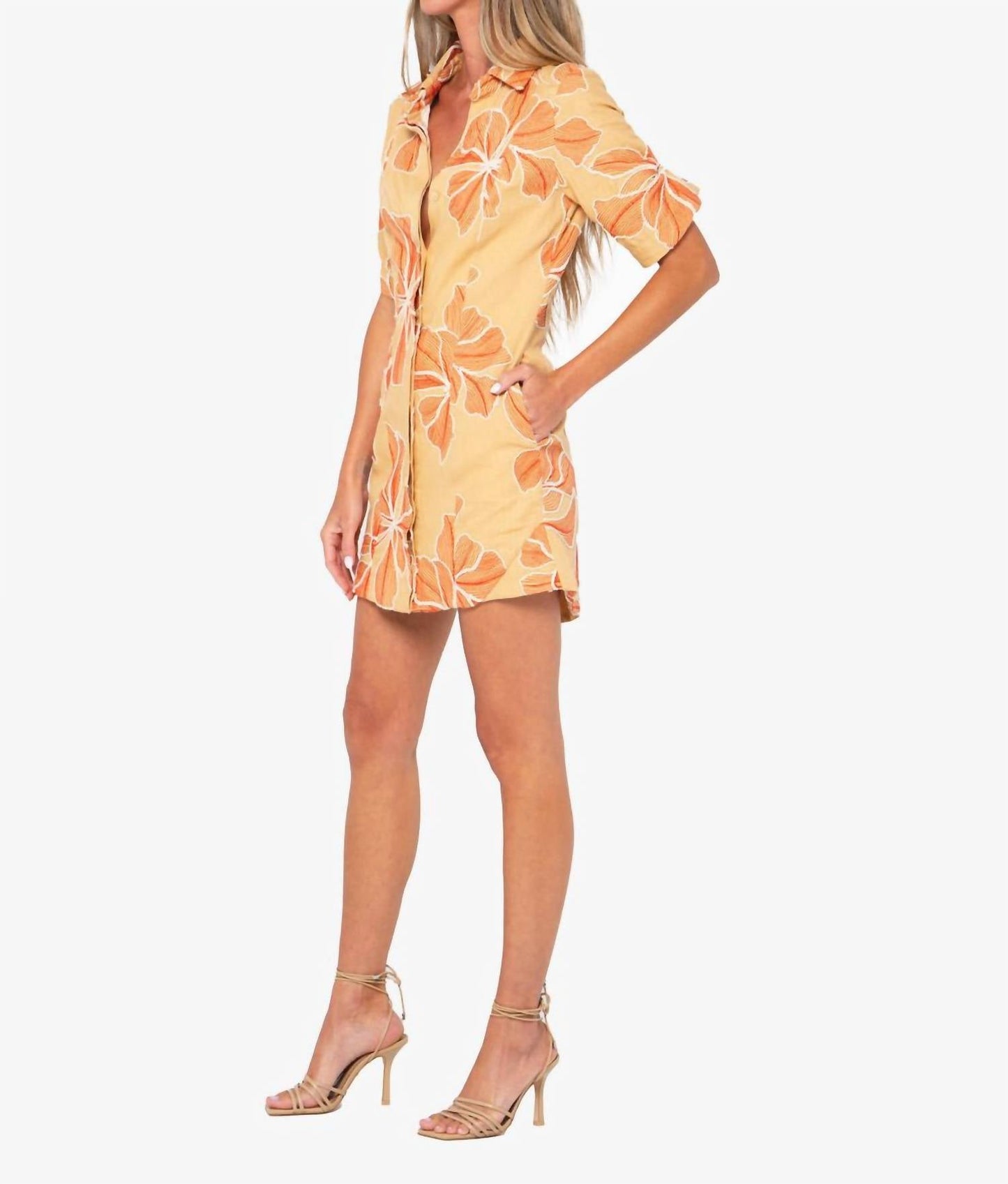 Jbq - Ginger Dress