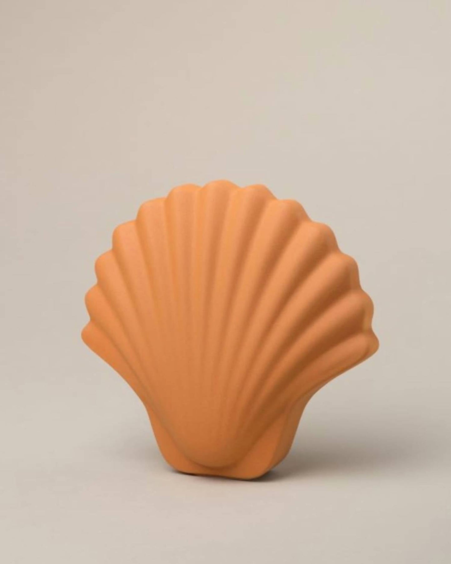Los Objetos Decorativos - Sea Shell Vase