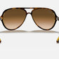 Ray Ban - Cats 5000 Classic Non Polarized Sunglasses Rb4125 - 710 - 51